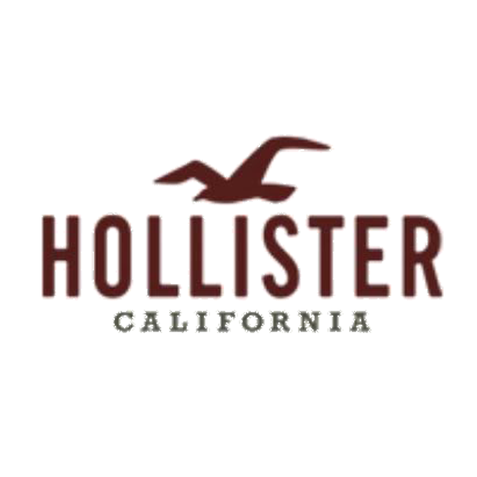 Hollister Co. cupões