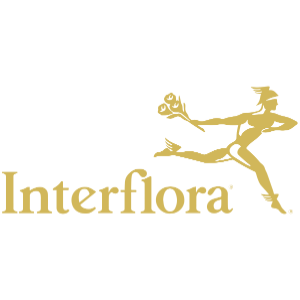 Interflora cupão