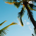 Aproveite da energia de verão