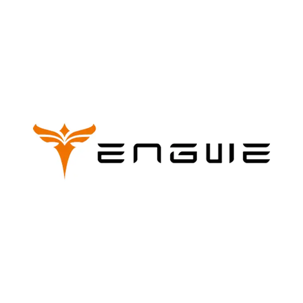 Engwe Bikes cupões
